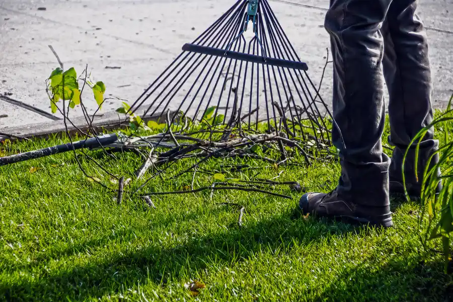 Affordable Bush Hogging Brooksville, FL Affordable Bush Hogging Brooksville, FL