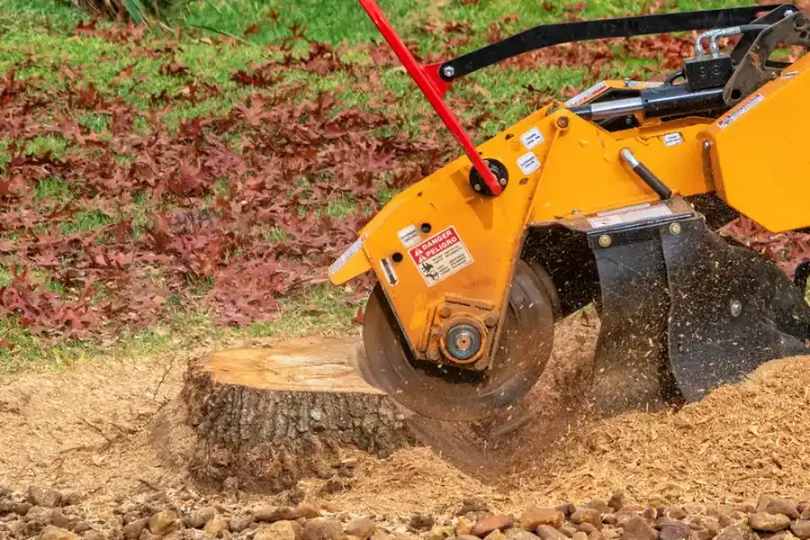 Experienced Stump Grinding Brooksville, FL Experienced Stump Grinding Brooksville, FL