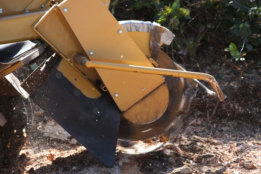 How Stump Grinding Can Enhance Your Curb Appeal in Brooksville, FL How Stump Grinding Can Enhance Your Curb Appeal in Brooksville, FL
