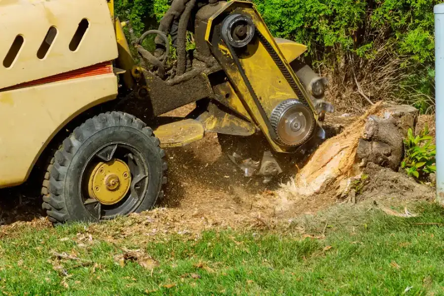 How Stump Grinding Improves Your Landscapes Appearance Brooksville, FL How Stump Grinding Improves Your Landscapes Appearance Brooksville, FL