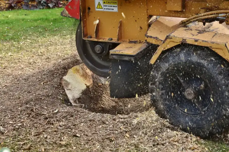 How Stump Grinding Improves Your Landscapes Appearance in Brooksville, FL How Stump Grinding Improves Your Landscapes Appearance in Brooksville, FL