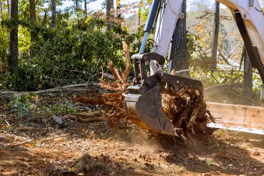 Top-rated Stump Removal Brooksville, FL Top-rated Stump Removal Brooksville, FL