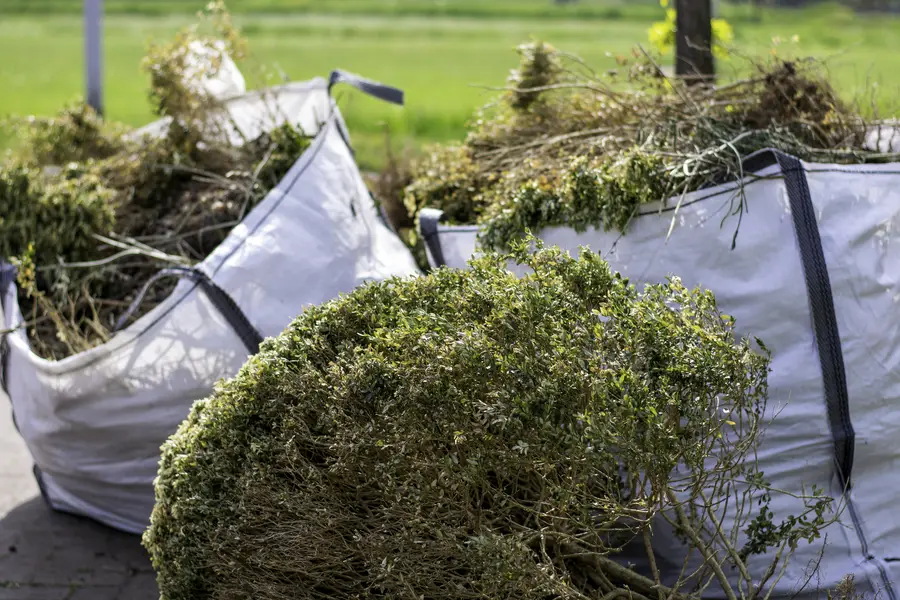 When To Schedule Bush Hogging Services Brooksville, FL When To Schedule Bush Hogging Services Brooksville, FL