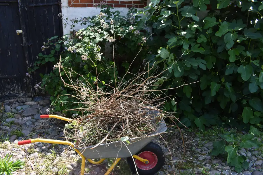 When To Schedule Bush Hogging Services in Brooksville, FL When To Schedule Bush Hogging Services in Brooksville, FL